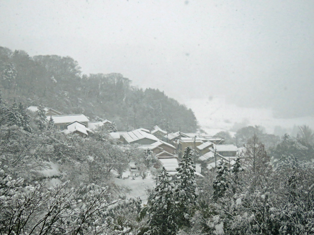 f0214649_1652418.jpg