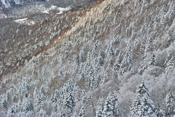 b0049152_19414595.jpg