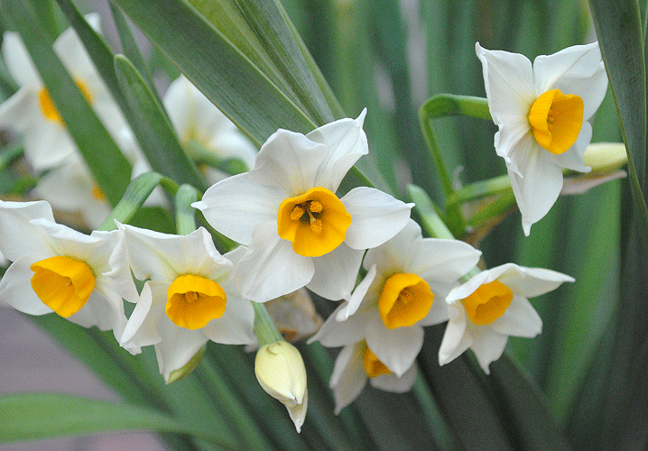 a0001354_20123818.gif