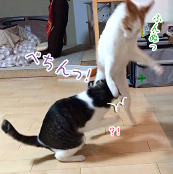 a0119470_032298.jpg