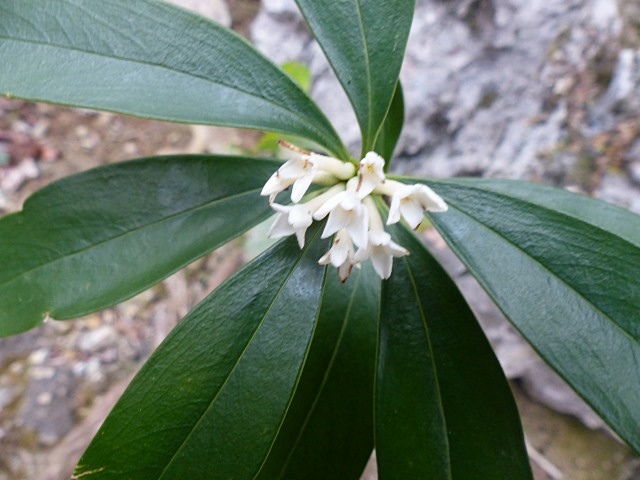 f0357487_2257155.jpg