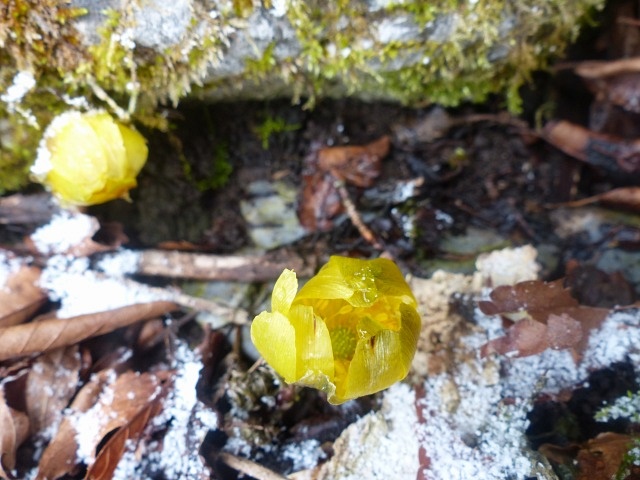 f0357487_23173979.jpg