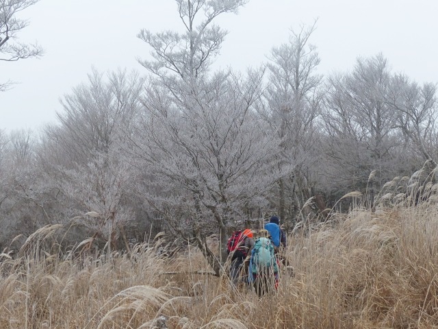 f0357487_23185392.jpg