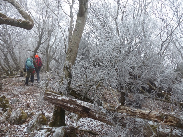 f0357487_23195073.jpg