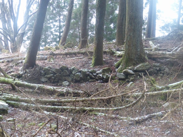 f0357487_23344479.jpg