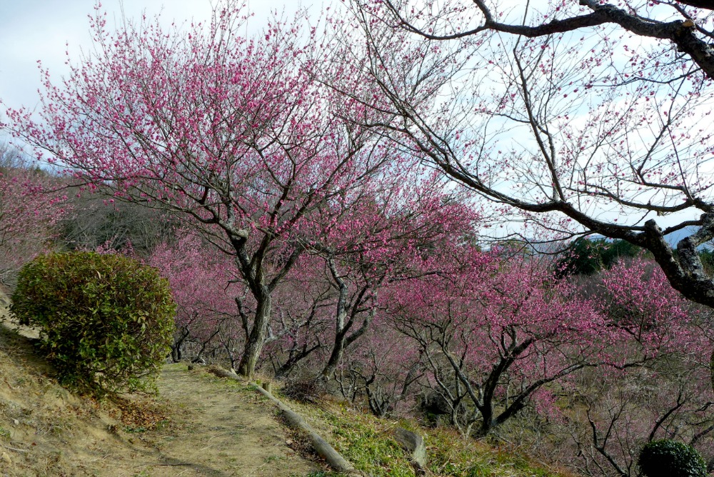 a0127090_21433488.jpg