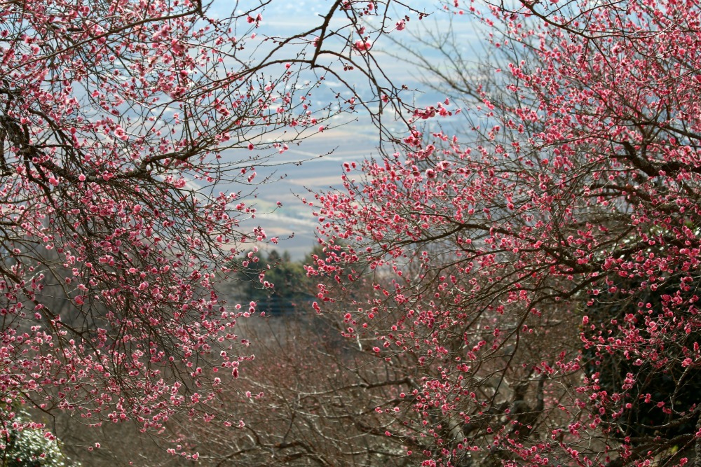 a0127090_2144074.jpg