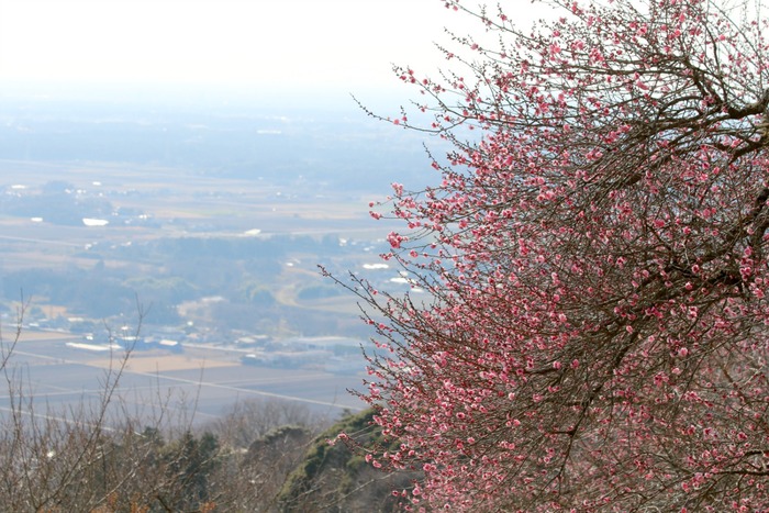 a0127090_2144869.jpg