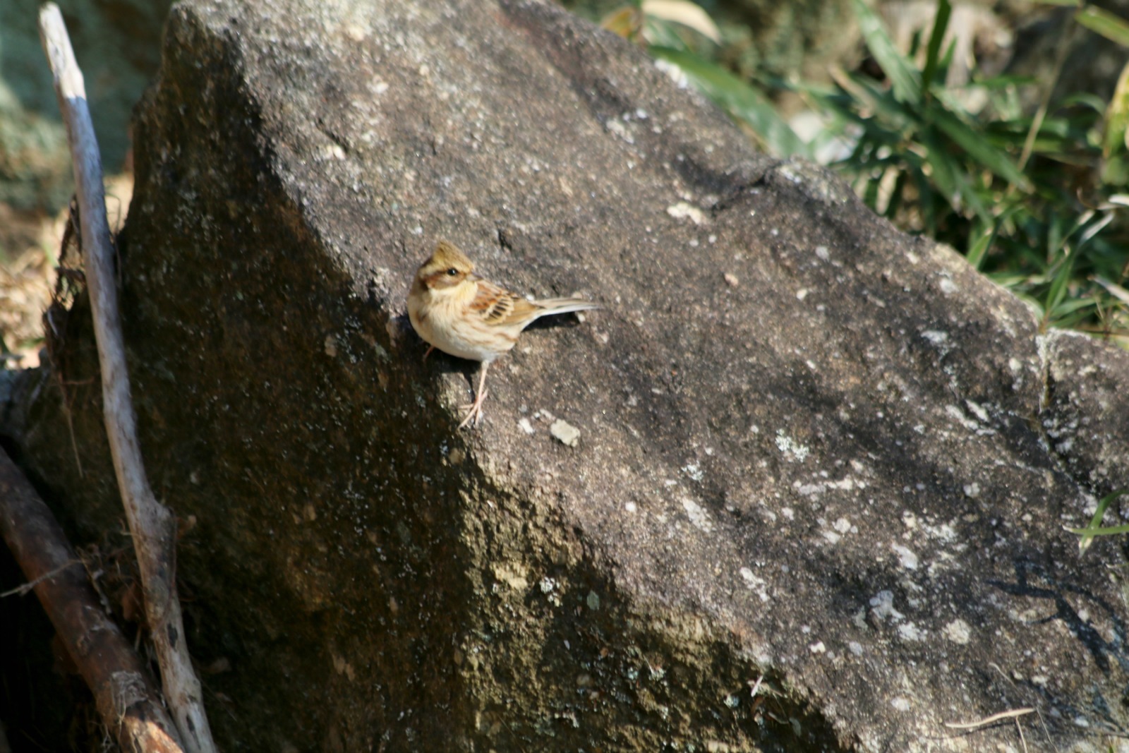 a0127090_2148450.jpg