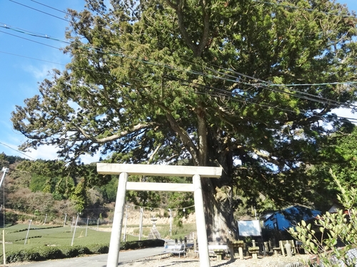 d0212491_15265854.jpg