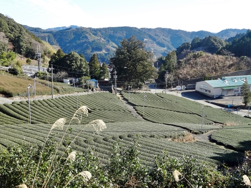 d0212491_15293038.jpg