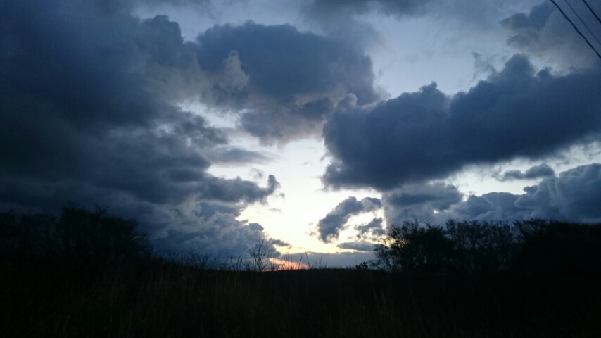 d0149105_727891.jpg