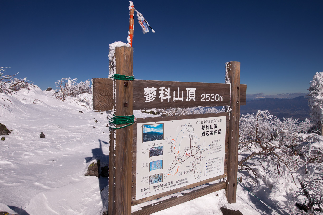 c0369219_15415250.jpg