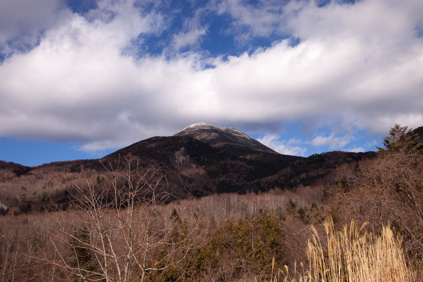 c0369219_16442920.jpg