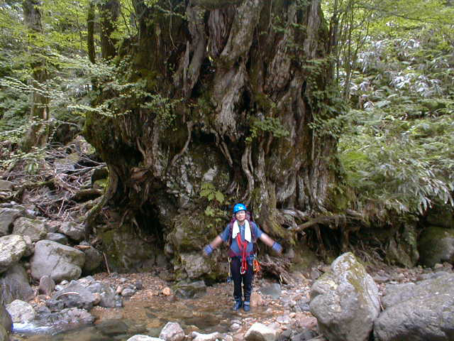 d0347140_12364186.jpg