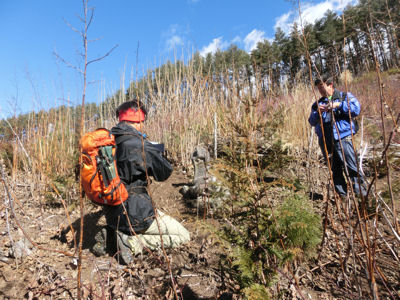 f0019247_12215757.jpg