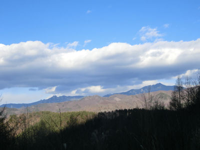 f0019247_12565560.jpg