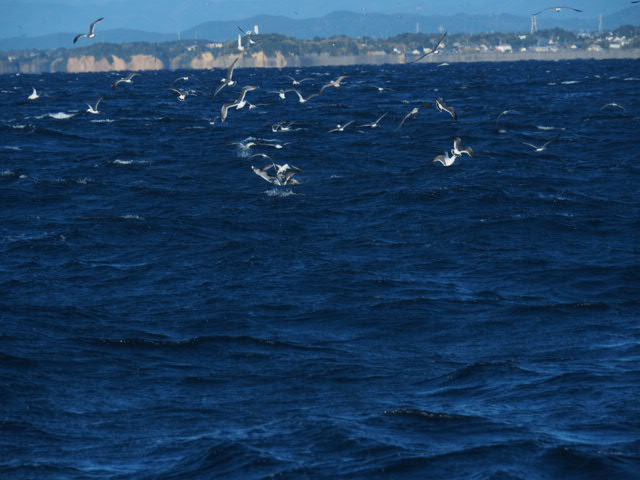 a0248152_1825039.jpg