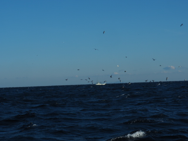 a0248152_1825987.jpg