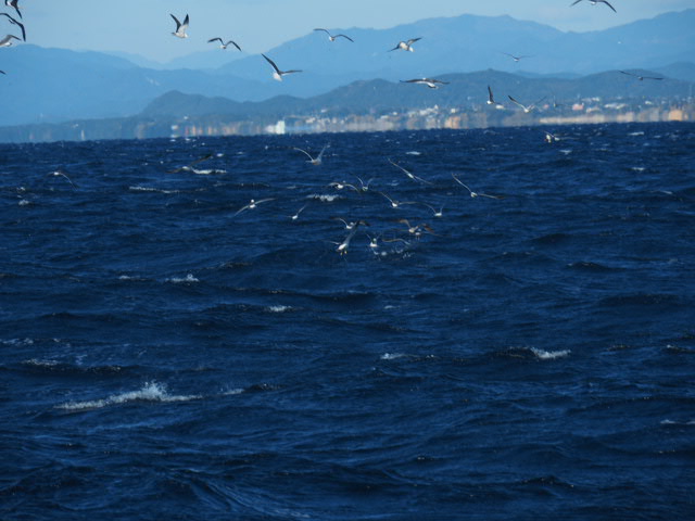 a0248152_183119.jpg