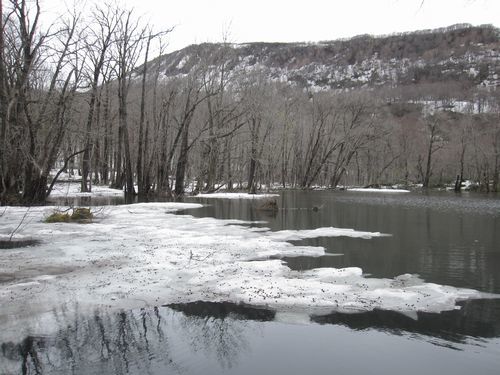 c0294658_23331656.jpg