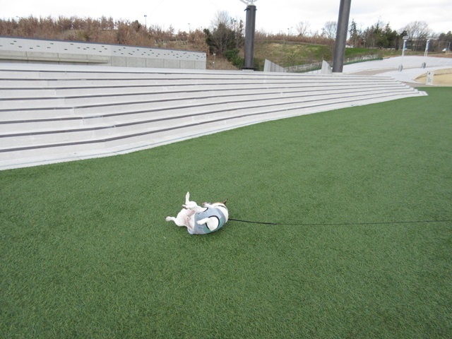 f0100871_21190184.jpg