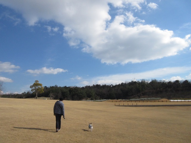 f0100871_21193176.jpg