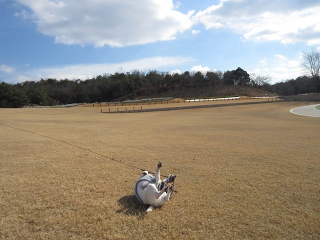 f0100871_21194298.jpg