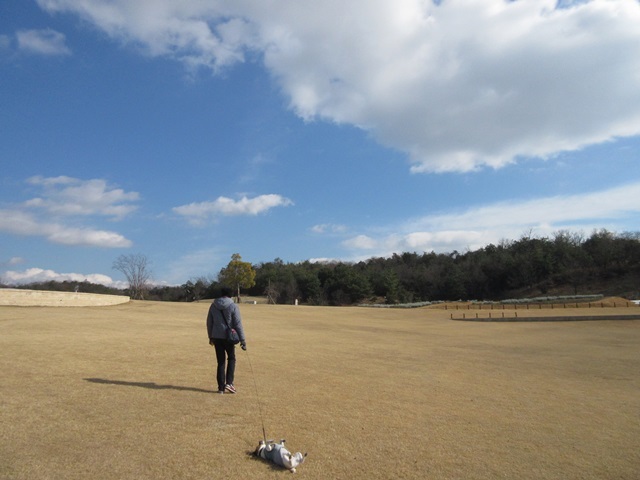 f0100871_21195536.jpg