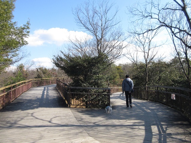 f0100871_21213574.jpg