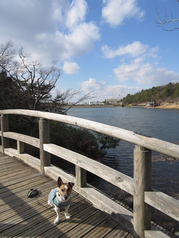 f0100871_21220922.jpg
