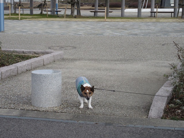 f0100871_21223557.jpg