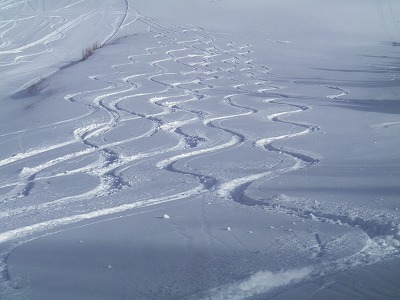 f0182173_14272437.jpg