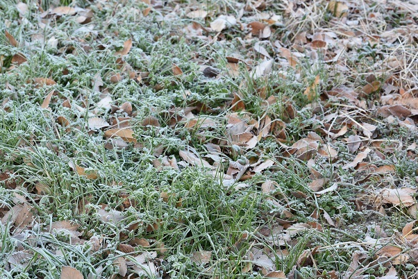 e0344574_22011304.jpg