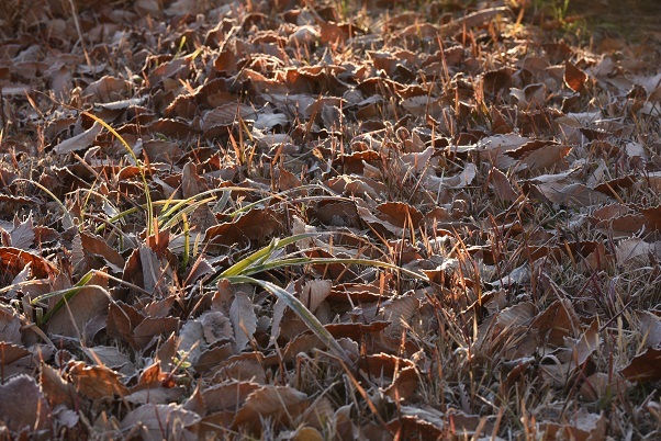 e0344574_22023448.jpg