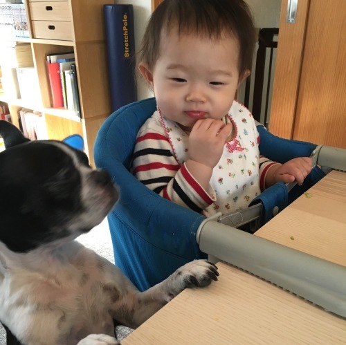 d0041575_22590372.jpeg