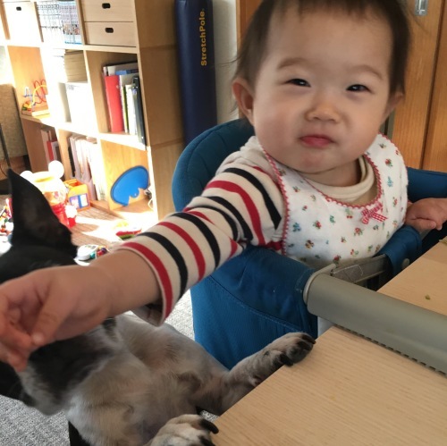 d0041575_22592858.jpeg