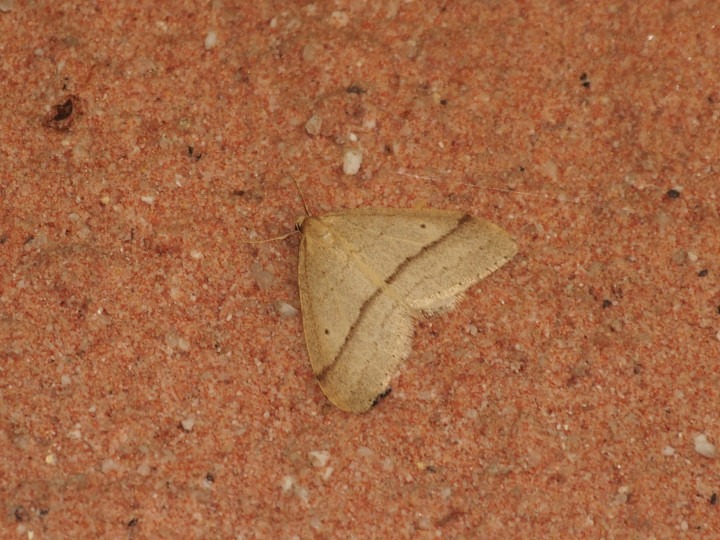 b0194593_8252350.jpg