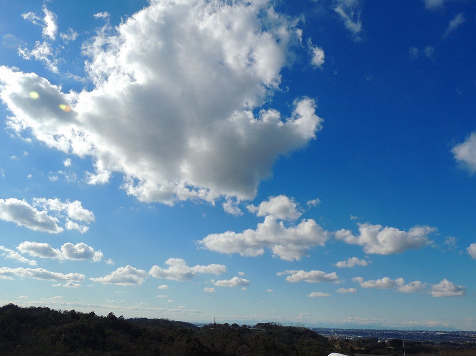 c0265095_20352686.jpg