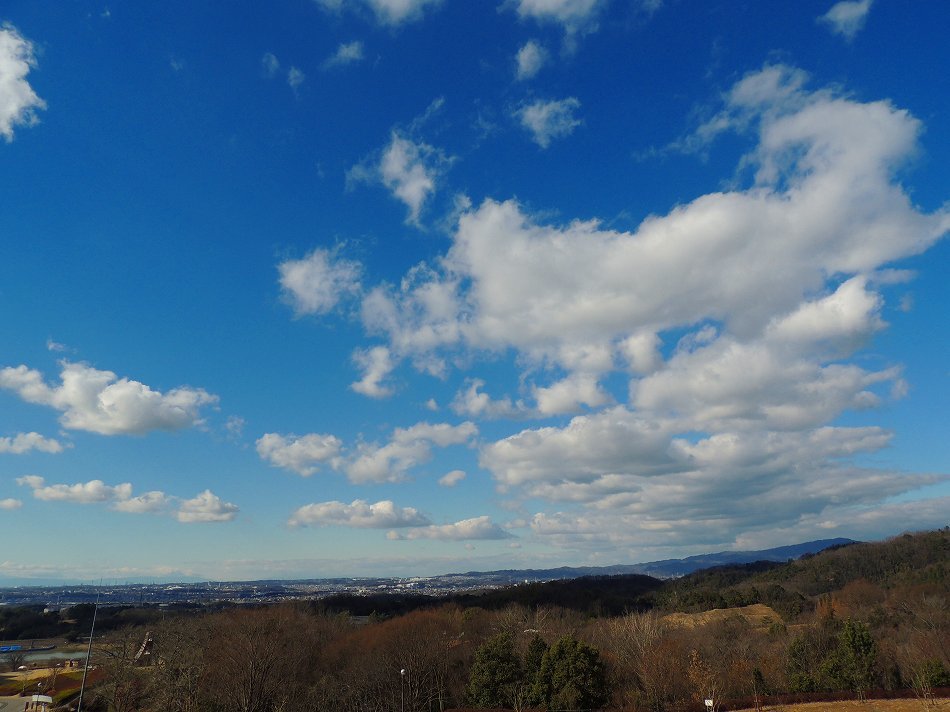 c0265095_20353960.jpg