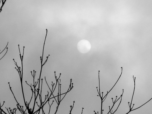 a0199297_18215183.jpg