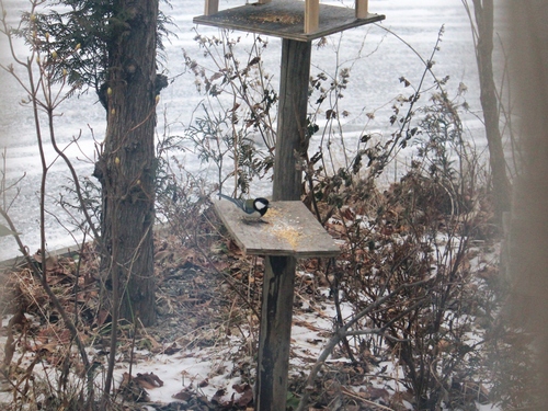 c0213598_23143560.jpg