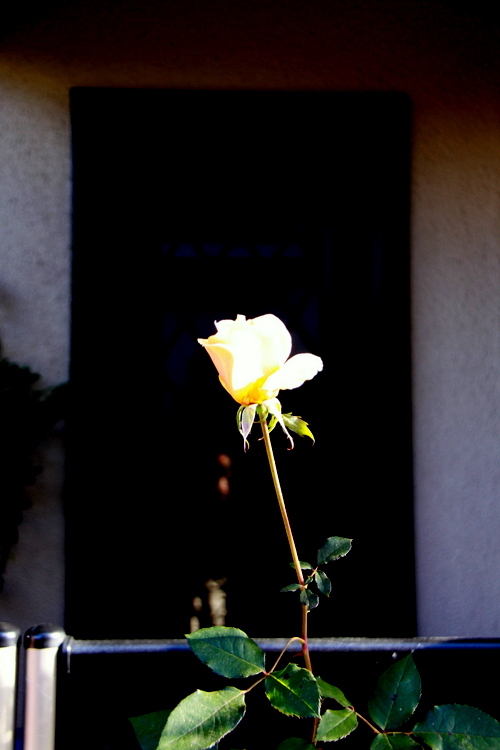 d0248502_22262370.jpg