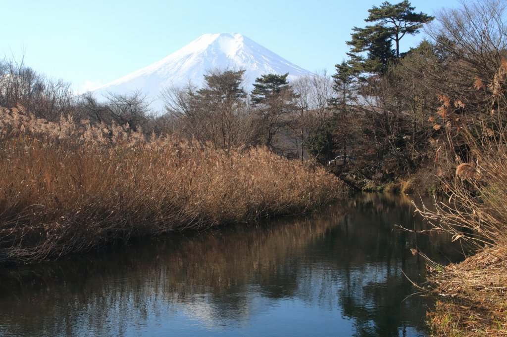 a0188405_08343173.jpg