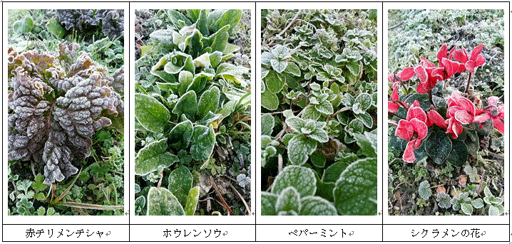 f0231709_929923.gif
