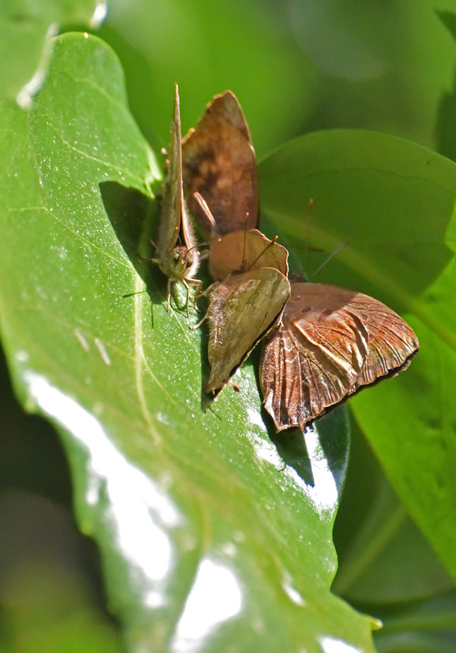 a0126632_734492.jpg