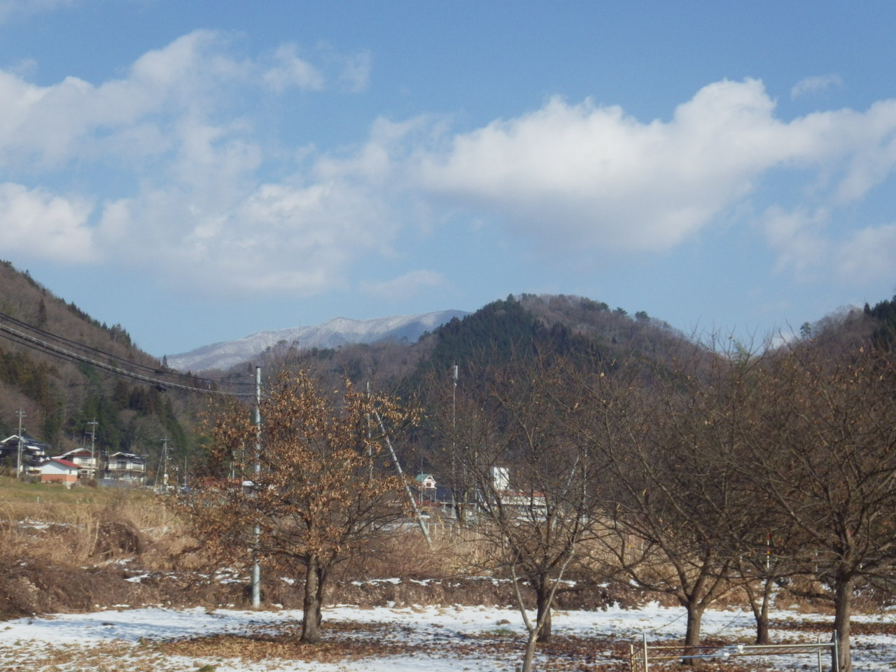 c0300035_14541981.jpg