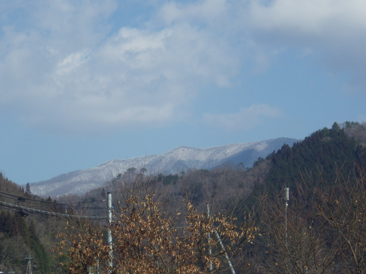 c0300035_1454391.jpg