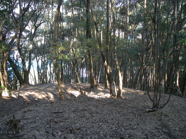 e0272335_17585121.jpg