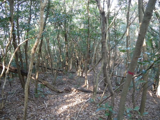 e0272335_18474086.jpg
